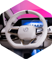 Izera - multifunctional heated steering wheel